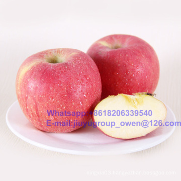 Top Quality Shandong Origin New Crop FUJI Apple